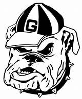 Printable Georgia Bulldog Coloring Sheet Pages sketch template