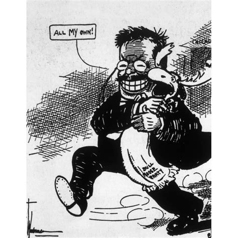 Theodore Roosevelt In Political Cartoon Regarding The Creation Of The ...