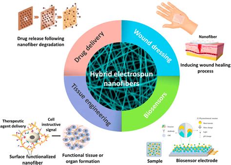 Frontiers | Electrospun hybrid nanofibers: Fabrication ...