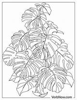 Tropical Leaves Coloring Pages sketch template