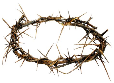 Crown of thorns Thorns, spines, and prickles Christianity Crucifixion of Jesus - jesus easter ...