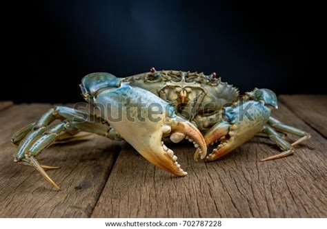 Black Crab Stock Photo (Edit Now) 702787228