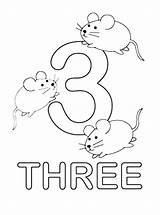 Number 3 Coloring Page  Home sketch template