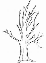 Fall Tree coloring Page  ColouringPages sketch template