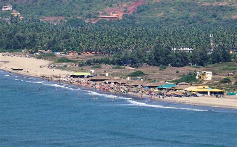 Morjim Beach / Goa / India // World Beach Guide