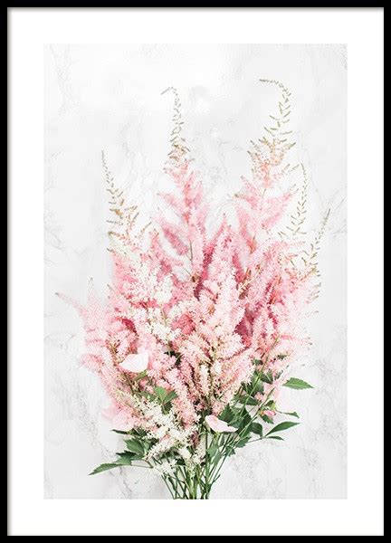 Astilbe Bouquet Poster