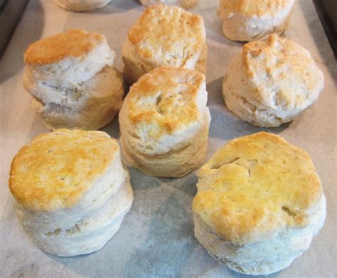 3 Ingredient Biscuit Recipe With Whipping Cream – Food Recipe Story