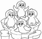 Penguin Coloring Pages  ColoringBay sketch template