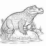 Black And White coloring Picture Of A caiman  Premium AI sketch template