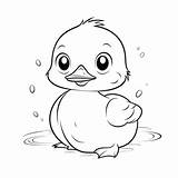 Baby Ducks Coloring Pages In Vector On White Background Basic Simple  sketch template