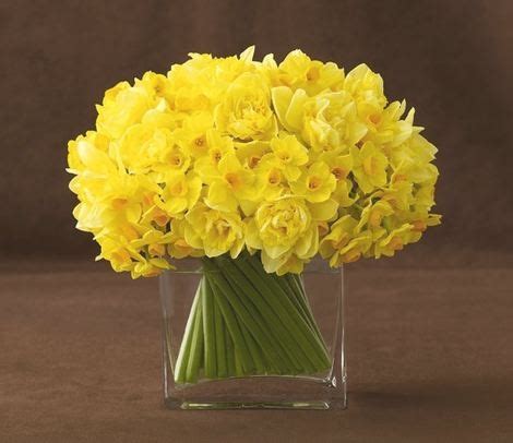 Daffodil Arrangements and Bouquet Ideas