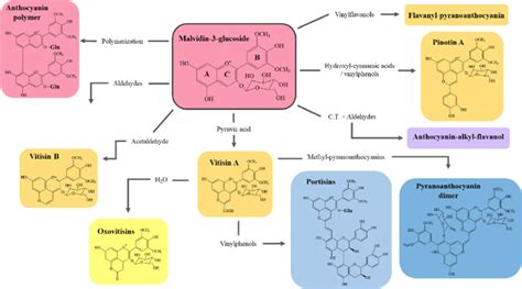 Overview of the general structure of anthocyanins and formation of ...