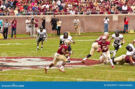 FSU Football editorial image. Image of vandals, players - 35525970