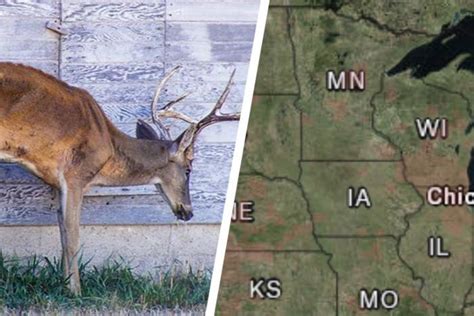 Chronic Wasting Mapped: onX CWD Map Layer | GearJunkie