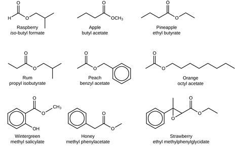 20.16 Carboxylic Acids and Esters - Chemistry LibreTexts