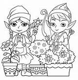 Coloring Elfi Disegni Cool2bkids Elves Ausmalbild Elfe Kostenlos  sketch template