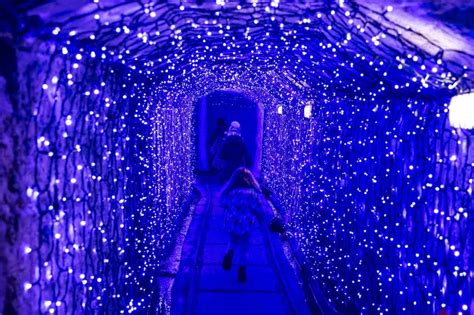 Tunnel of Lights returns to Charlestown museum featuring four miles of twinkling lights ...