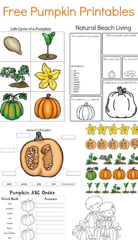 Pumpkin Activities for Kids - Pumpkin Lesson Plans (STEM) - Natural ...