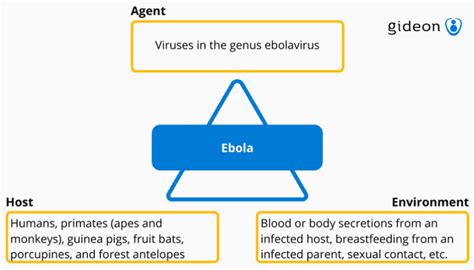 Epidemiological Triad | GIDEON