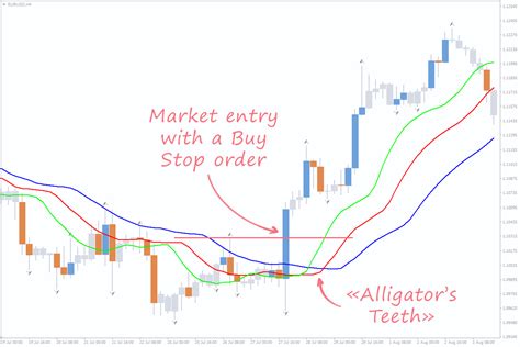 Bill Williams Fractals - Indicators to Optimise Your Trading Strategy | FXSSI - Forex Sentiment ...