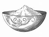 Premium Vector  Sea Salt Sketch Hand draw spice Vintage Powder sketch template