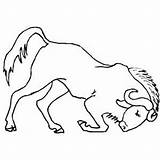 Water Buffalo Coloring Sheet sketch template