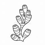 Tall Sponge And Coral For Coloring Book Linear Drawing Isolated On  sketch template