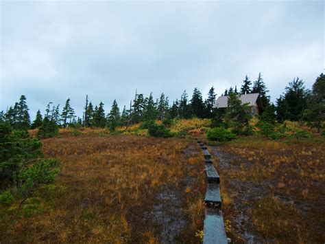 Our Alaska Adventures: The New John Muir Cabin