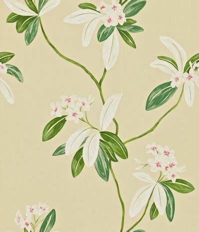 Oleander by Sanderson - Green / Cream - Wallpaper - 212130 | Cream wallpaper, Classic wallpaper ...