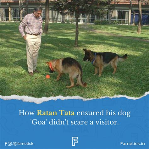 How Ratan Tata ensured his dog 'Goa' didn't scare a visitor. | Ratan ...