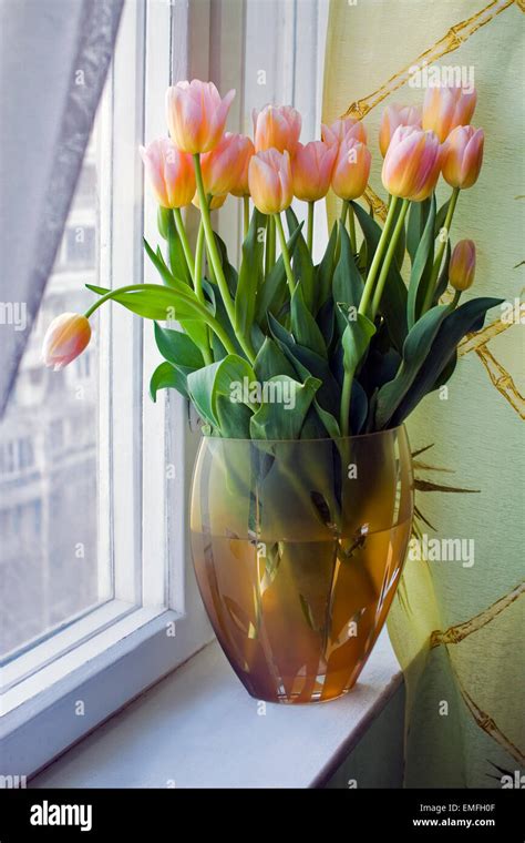 Pink tulips in vase Stock Photo - Alamy