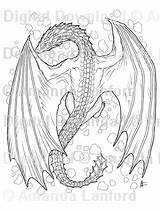 Baby Wyvern Dragon Drawings Sketch Coloring Page sketch template