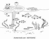 Coloring Page Underwater Pond Landscape Perches Stock Vector Royalty  sketch template