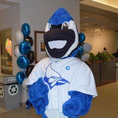 Blue Jay | Mascot Hall of Fame