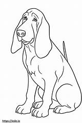 Basset Hound Cute coloring Page sketch template