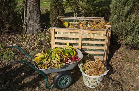 The Top Benefits of Composting | BioEnergy Consult