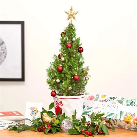 These Wee Tiny Christmas Trees Can Be Delivered To Your Door