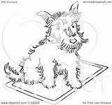 Rug Coloring Page At GetColoringscom  Free Printable Colorings Pages sketch template