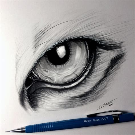 Tiger Eye Drawing by LethalChris on DeviantArt