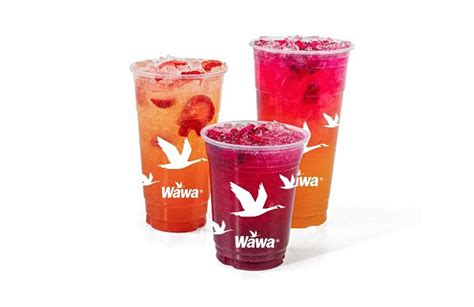 Wawa Expands Beverage Offer With Refreshers Launch - CStore Decisions