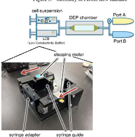 Figure 3 from High throughput cell sorting device using dielectrophoresis and fluid-induced ...