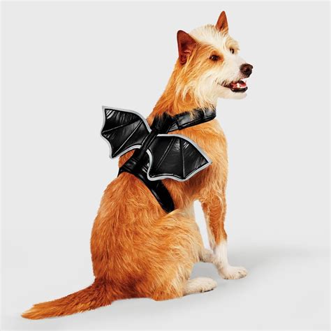 Bat Wings Halloween Dog Costume | Best Dog Costumes for Large, Medium ...