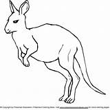 Kangaroo Boxing coloring Pages sketch template