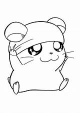 Coloring Page  Hamtaro coloring Pages 132 sketch template