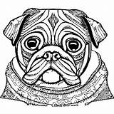 Pug Coloring Page · Creative Fabrica sketch template