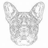 French Bulldog Coloring Page  Nation sketch template