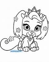 Whisker Haven Palace Pets Coloring Pages sketch template