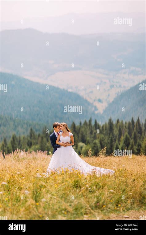 Fashionable and happy wedding couple on sunny field with forest ...