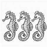 Three Seahorses coloring Page  Download Print Or Color Online For Free sketch template