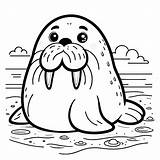 Walrus Coloring Pages 5  Gem sketch template